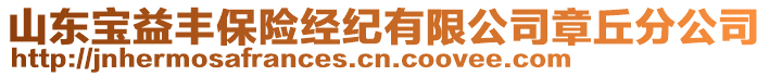 山東寶益豐保險經(jīng)紀有限公司章丘分公司