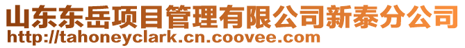 山東東岳項目管理有限公司新泰分公司