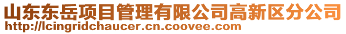 山東東岳項目管理有限公司高新區分公司