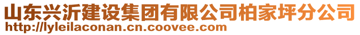 山東興沂建設(shè)集團(tuán)有限公司柏家坪分公司