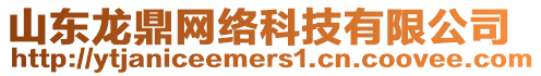 山東龍鼎網絡科技有限公司