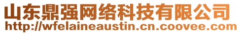 山東鼎強(qiáng)網(wǎng)絡(luò)科技有限公司