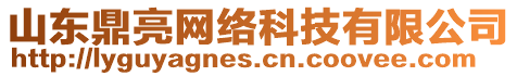 山東鼎亮網(wǎng)絡(luò)科技有限公司