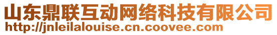 山東鼎聯(lián)互動(dòng)網(wǎng)絡(luò)科技有限公司