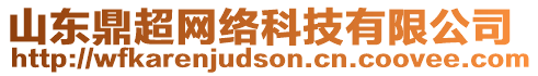 山東鼎超網(wǎng)絡(luò)科技有限公司