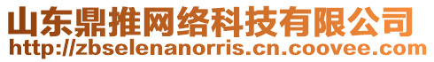山東鼎推網絡科技有限公司