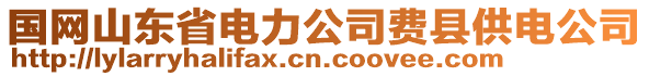 國(guó)網(wǎng)山東省電力公司費(fèi)縣供電公司