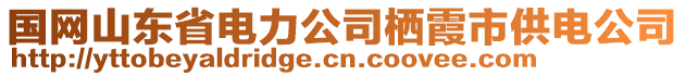 國(guó)網(wǎng)山東省電力公司棲霞市供電公司