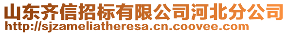 山東齊信招標有限公司河北分公司