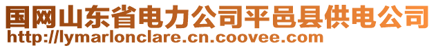 國網(wǎng)山東省電力公司平邑縣供電公司