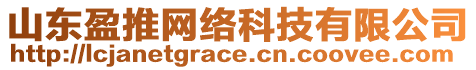 山東盈推網(wǎng)絡(luò)科技有限公司