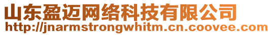 山東盈邁網(wǎng)絡(luò)科技有限公司