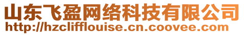 山東飛盈網(wǎng)絡(luò)科技有限公司