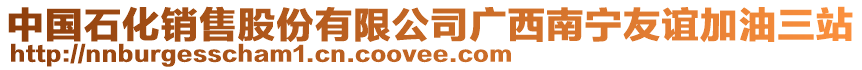 中國石化銷售股份有限公司廣西南寧友誼加油三站