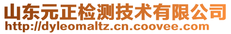 山東元正檢測技術(shù)有限公司