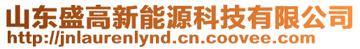 山東盛高新能源科技有限公司