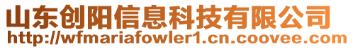 山東創(chuàng)陽信息科技有限公司