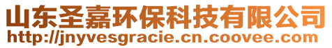 山東圣嘉環(huán)?？萍加邢薰? style=