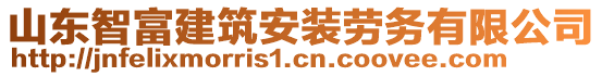 山東智富建筑安裝勞務有限公司