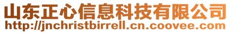 山東正心信息科技有限公司