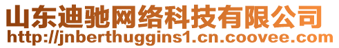 山東迪馳網(wǎng)絡(luò)科技有限公司