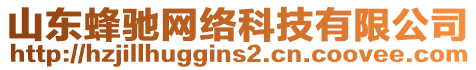 山東蜂馳網(wǎng)絡科技有限公司