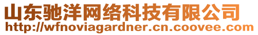 山東馳洋網絡科技有限公司