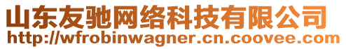 山東友馳網絡科技有限公司