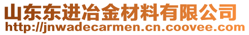 山東東進(jìn)冶金材料有限公司