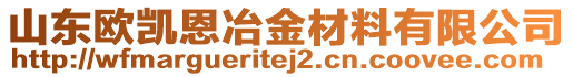 山東歐凱恩冶金材料有限公司