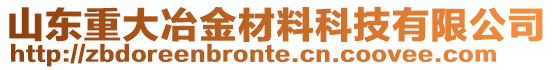 山東重大冶金材料科技有限公司