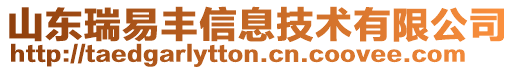 山東瑞易豐信息技術有限公司