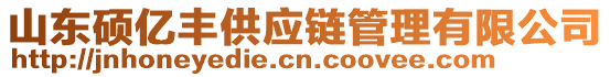 山東碩億豐供應(yīng)鏈管理有限公司