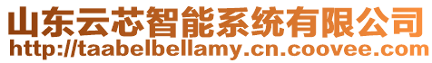 山東云芯智能系統(tǒng)有限公司