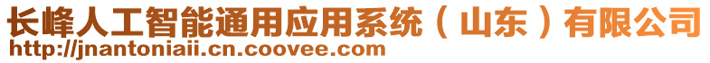 長(zhǎng)峰人工智能通用應(yīng)用系統(tǒng)（山東）有限公司