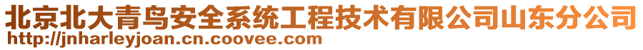 北京北大青鳥安全系統(tǒng)工程技術(shù)有限公司山東分公司