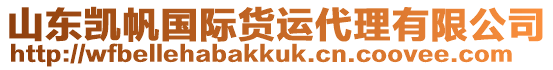 山東凱帆國(guó)際貨運(yùn)代理有限公司