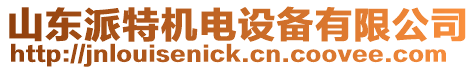 山東派特機(jī)電設(shè)備有限公司