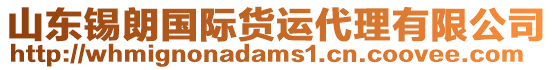 山東錫朗國(guó)際貨運(yùn)代理有限公司