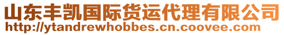 山東豐凱國(guó)際貨運(yùn)代理有限公司