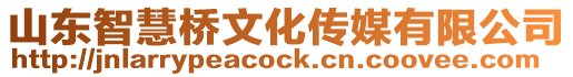山東智慧橋文化傳媒有限公司