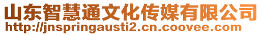 山東智慧通文化傳媒有限公司