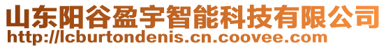 山東陽谷盈宇智能科技有限公司