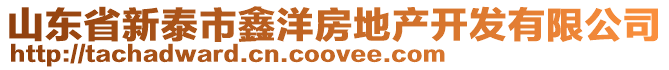 山東省新泰市鑫洋房地產開發有限公司
