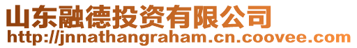 山東融德投資有限公司