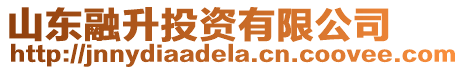 山東融升投資有限公司