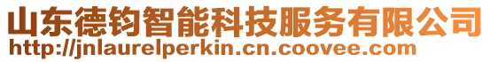 山東德鈞智能科技服務(wù)有限公司