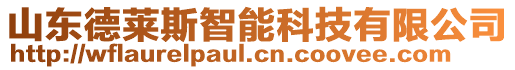 山東德萊斯智能科技有限公司