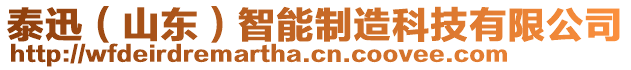 泰迅（山東）智能制造科技有限公司