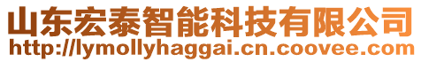 山東宏泰智能科技有限公司